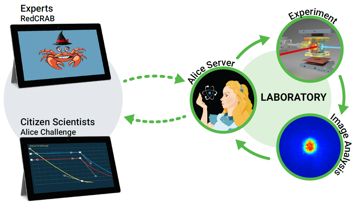 Remote scheme of the Alice Challenge. Parameters from the experts and citizen scientists are sent through an online cloud interface and turned into experimental sequences in real-time. 