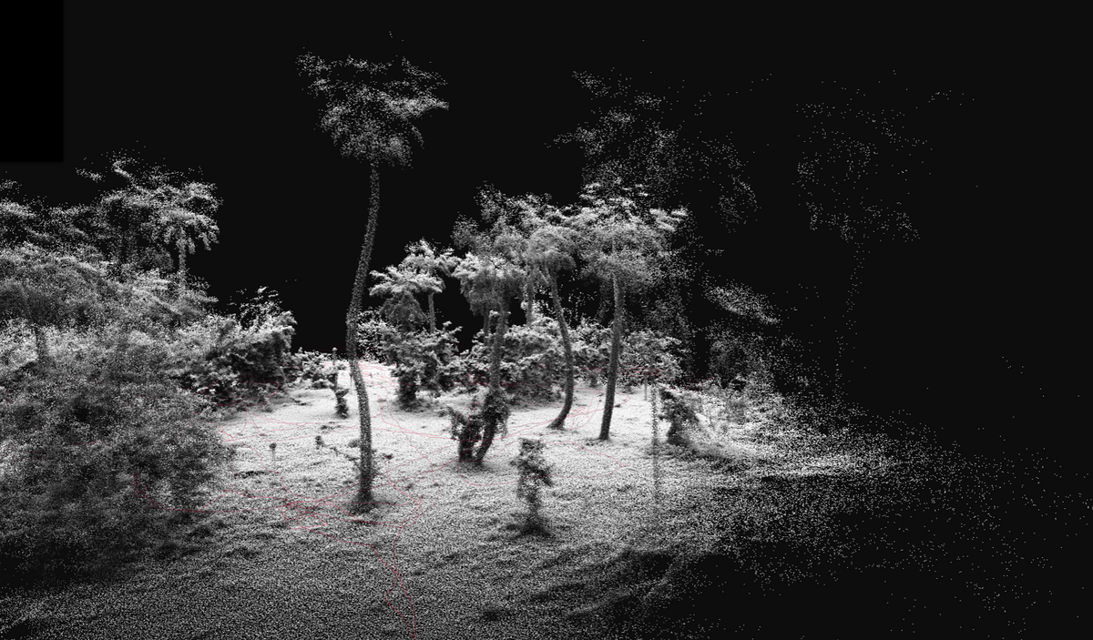Et savanne-område i Argentina scannet med en LiDAR laserscanner. Skanningsbillederne består af punktskyer. Foto: Robert Buitenwerf, AU