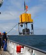 Forskerne har hentet prøver op fra dybhavsgravene (Foto: Anni Glud, SDU)