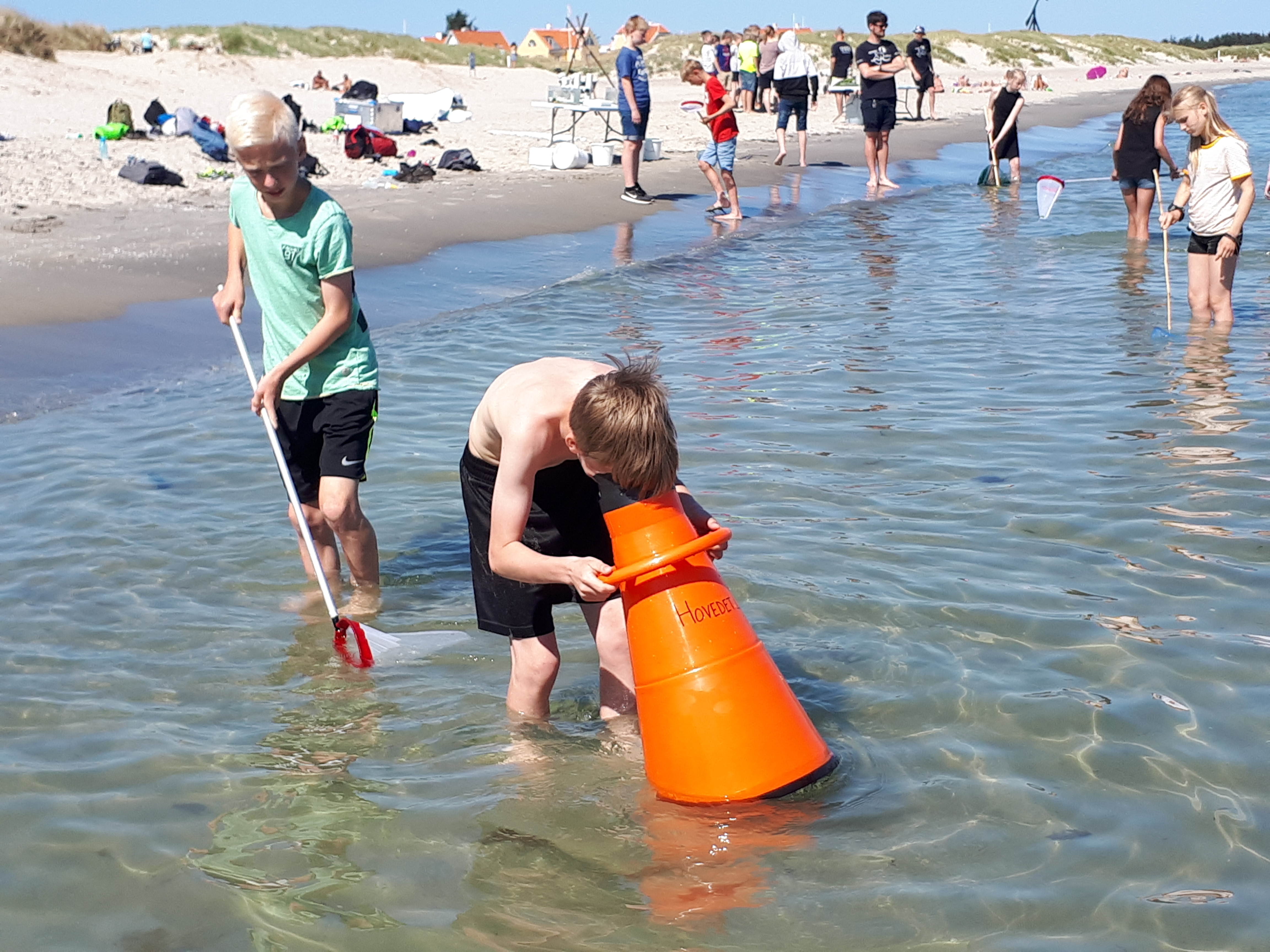 En flok skolebørn i strandkanten. En af drengene undersøger havbunden gennem en orange vandkikkert.