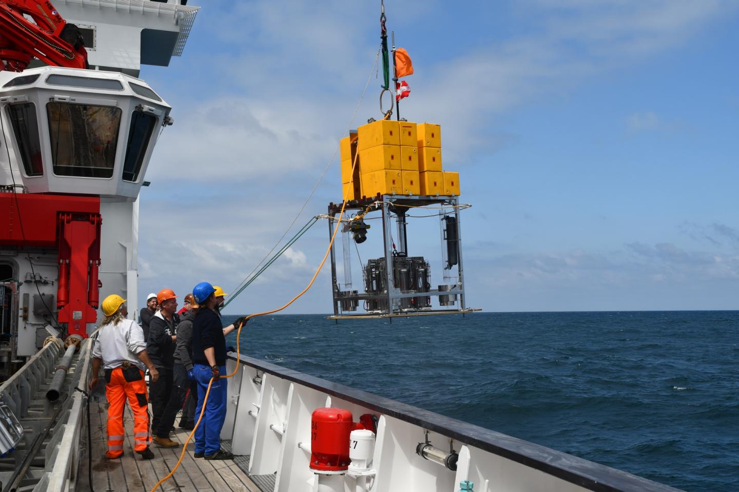 Forskerne har hentet prøver op fra dybhavsgravene (Foto: Anni Glud, SDU)