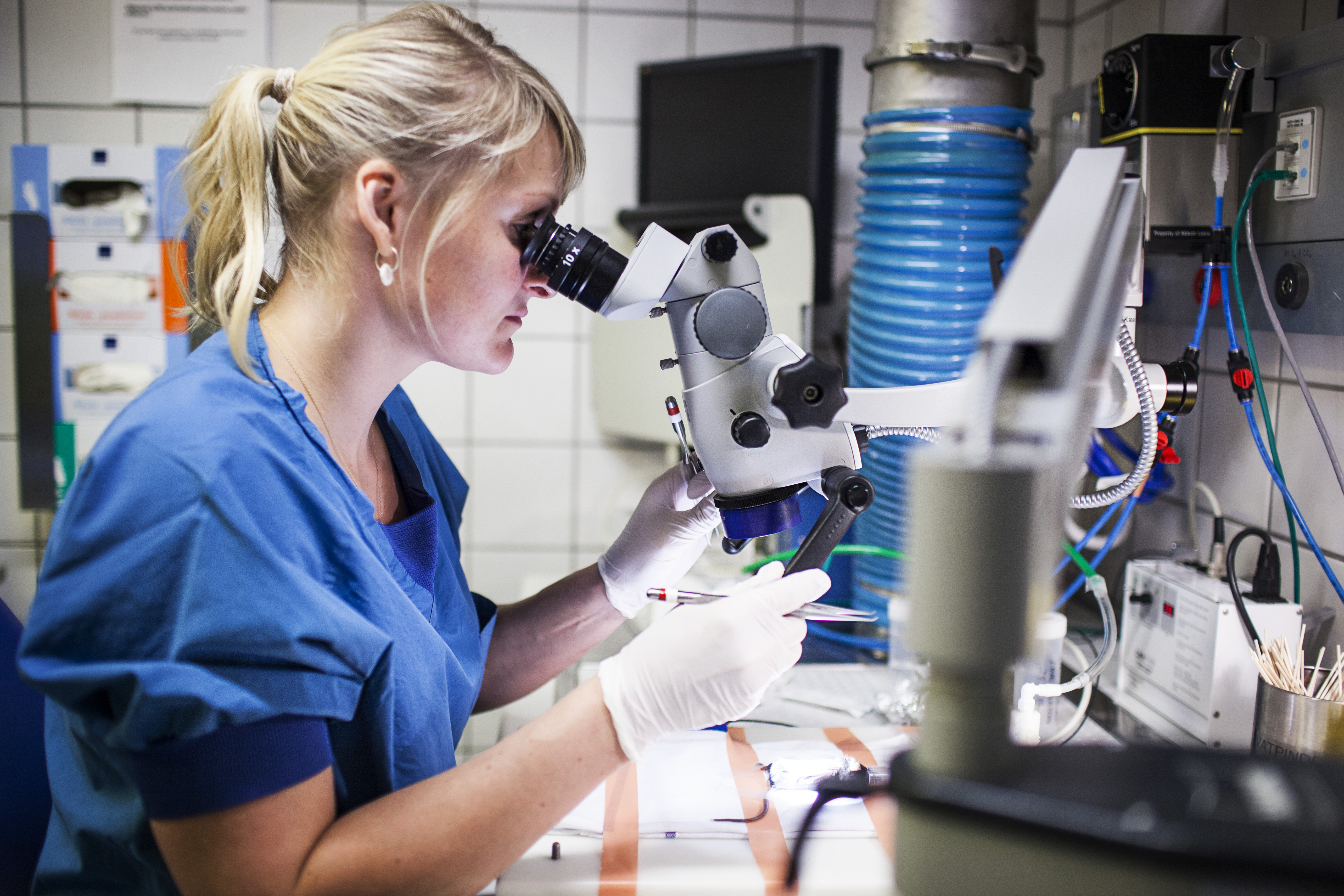 Kvinde i blå kittel ser i mikroskop.
